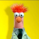 Wonko The Sane
